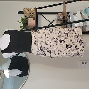 Lord & Taylor Medium Petite Pencil Skirt